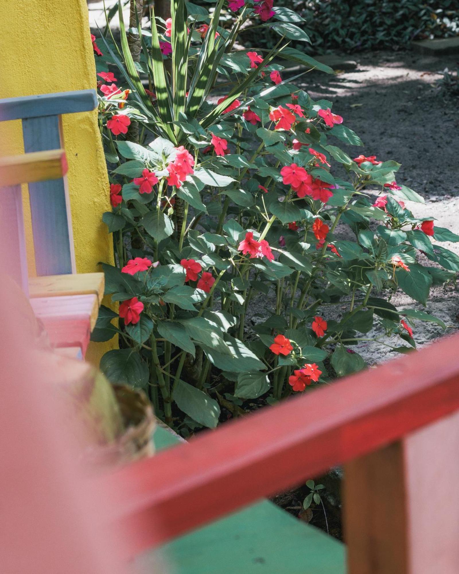 Butterfly House Bahia Ξενοδοχείο Marau  Εξωτερικό φωτογραφία