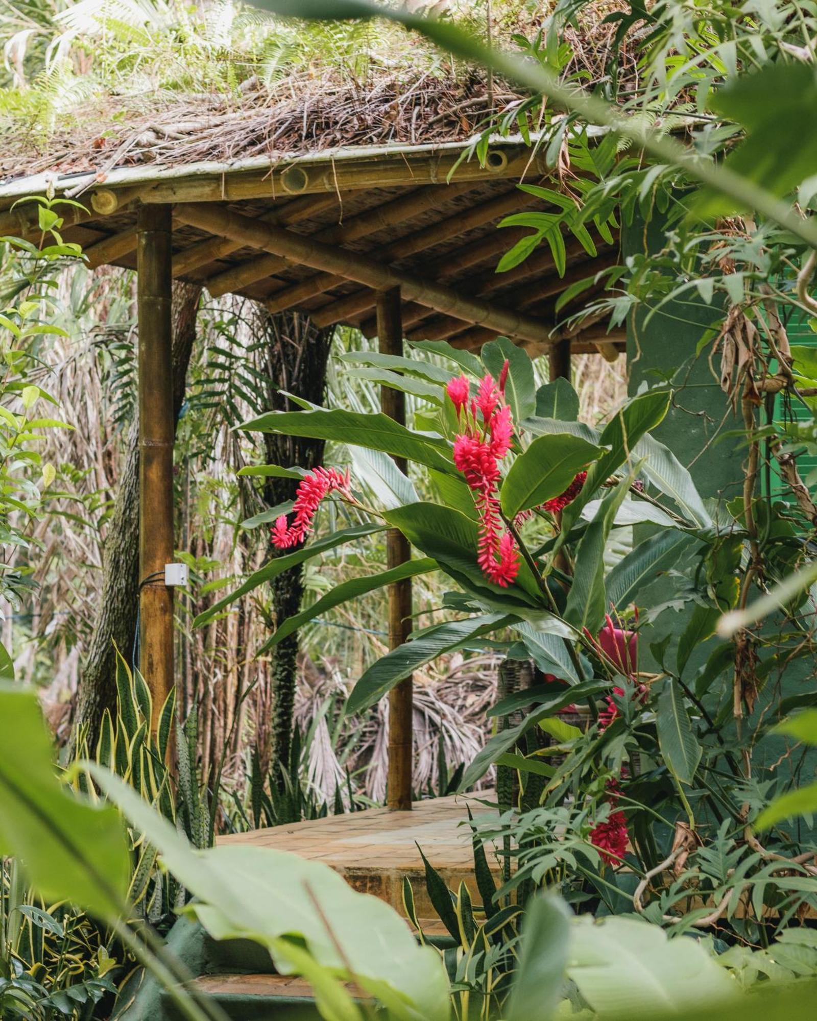 Butterfly House Bahia Ξενοδοχείο Marau  Εξωτερικό φωτογραφία